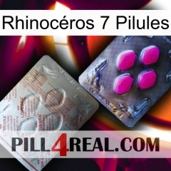 Rhinocéros 7 Pilules 38